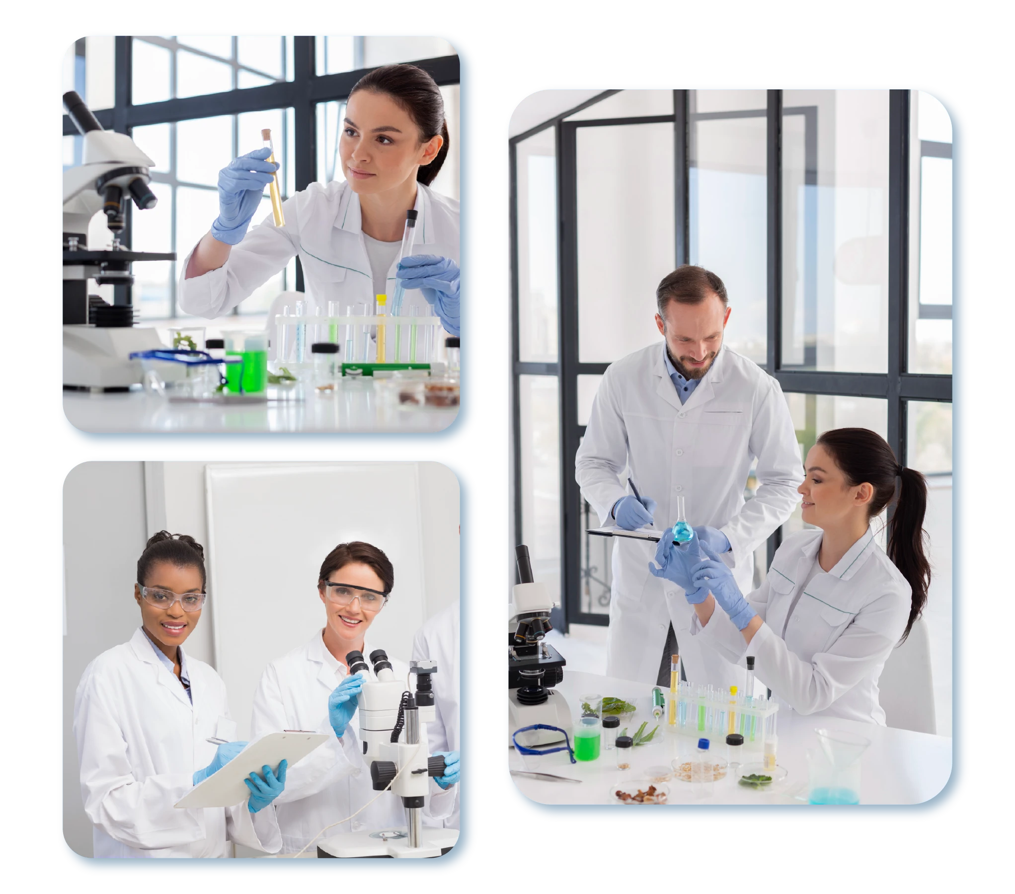 Campo Laboral Farmacia y bioquímica